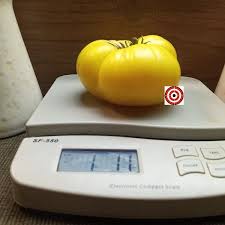 Afbeeldingsresultaat voor cabin tomato