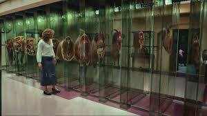 Resultado de imagen para sliced horse