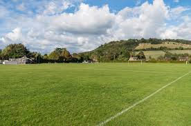 Image result for Old Dorkinian Cricket Club