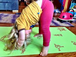 Image result for Torbay Olympic Gymnastics Club