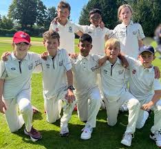 Image result for Morpeth Junior Cricket Club
