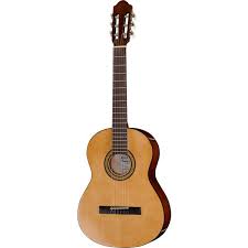 Image result for guitar