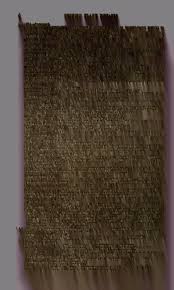 Attēlu rezultāti vaicājumam “Milesina murariae”