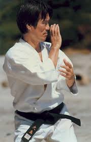 Image result for Ataru Shotokan Karate Club