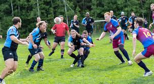 Image result for Bingham Rugby Union Football Club