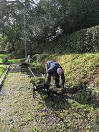 Image result for Chester Road Bowling Club