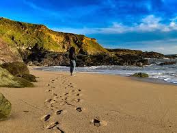 Image result for Kingsbridge Archers, Devon