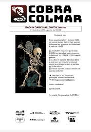 Image result for Cobra Badminton Club