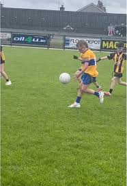 Image result for Silverbridge Harps Gac
