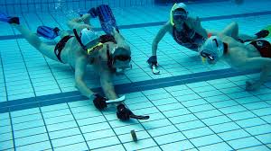 Image result for FXU Underwater Hockey