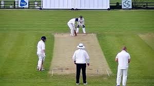 Image result for Denby Cc