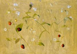 Image result for Vergissmeinnicht