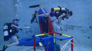 Image result for Robin Hood Dive School