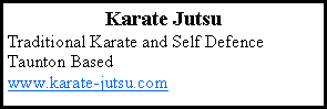 Image result for Taunton Karate Jutsu