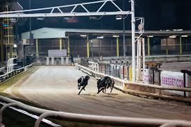 Image result for Reading Greyhound Track