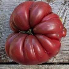Afbeeldingsresultaat voor purple calabash tomato