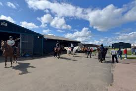 Image result for Scottish Equi Complex