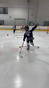 Image result for Sheffield Wildcats Rink Hockey and Roller Skating Club