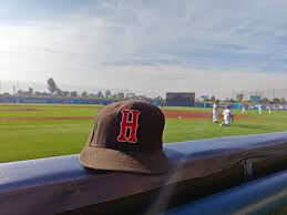 Image result for Herts Falcons