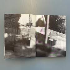 Image result for Bernard Voita