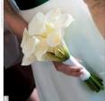 DIY Hand-Tied Bouquet of Calla Lilies | Bridesmaids and Weddings
