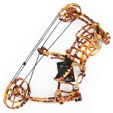 Image result for ArcheryDuns