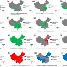 Attēlu rezultāti vaicājumam “Hadula trifolii larva”