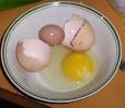 Double Yolks and Other Egg Oddities - PoultryHelp.com - Rocking T ...