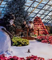 Image result for Darlington Scrabble Club