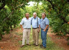 Image result for Farmers Arms Crown Green Bowling Club