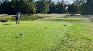 Image result for Abbey Hill Golf Centre, Milton Keynes