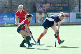 Image result for Norwich Dragons Hockey Club