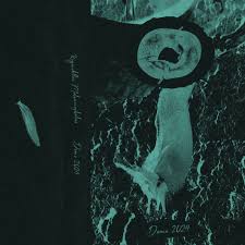 Attēlu rezultāti vaicājumam “Krynickillus melanocephalus”