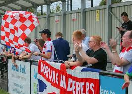 Image result for Dorking Wanderers F C