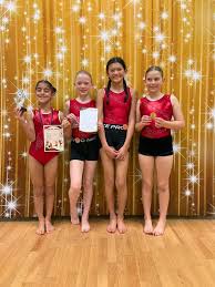 Image result for Sutton At Home Gymnastics Club