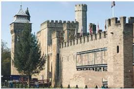 Image result for Cardiff Capitals