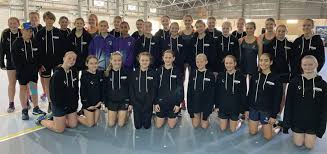Image result for Capricorn Netball Club