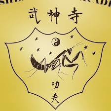 Image result for Windsor WingTsun Kung fu