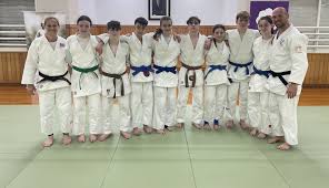 Image result for Micklefield Judo Club