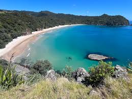 Image result for new chums beach