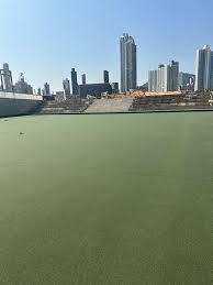 Image result for Greets Green Bowling Club