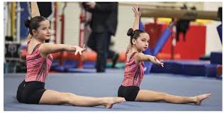 Image result for L&G Acrobatic Gymnastics Club