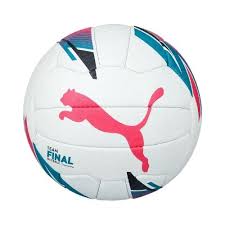 Image result for Pumas Netball Club