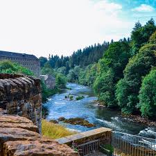 Image result for Scottish Equi Complex