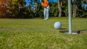 Image result for Newtonmore Golf Club