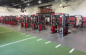 Image result for Abbey Fit Gymnastics