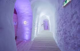 「イルミンガルド・スノーレヴィク」の画像検索結果