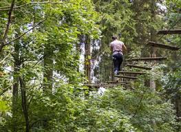 Image result for Go Ape! Leeds Castle