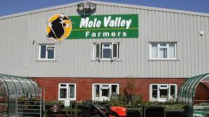 Image result for Mole Valley Bowmen