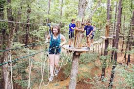 Image result for The Go Ape Experience (Swinley Forest)
